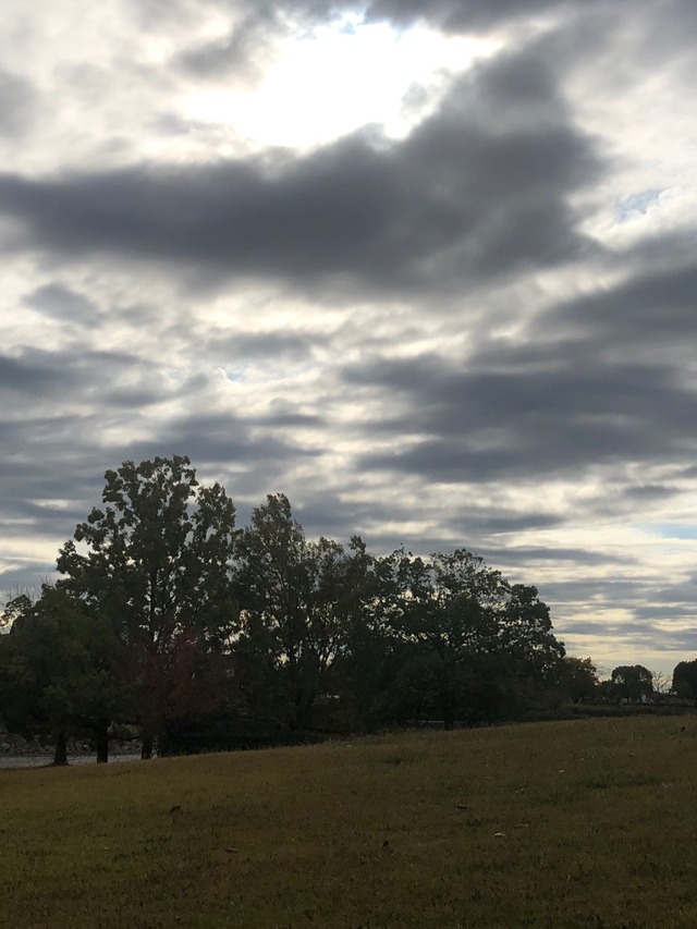 《 お知らせ 》休業期間 2025年11月23日(日)～2025年11月27日(木)