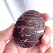 チョコレートジャスパー*パーム*250808-01*天然石*置き物*インテリアストーン