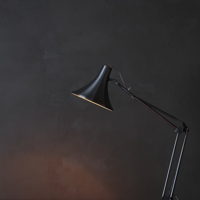 Arm lamp