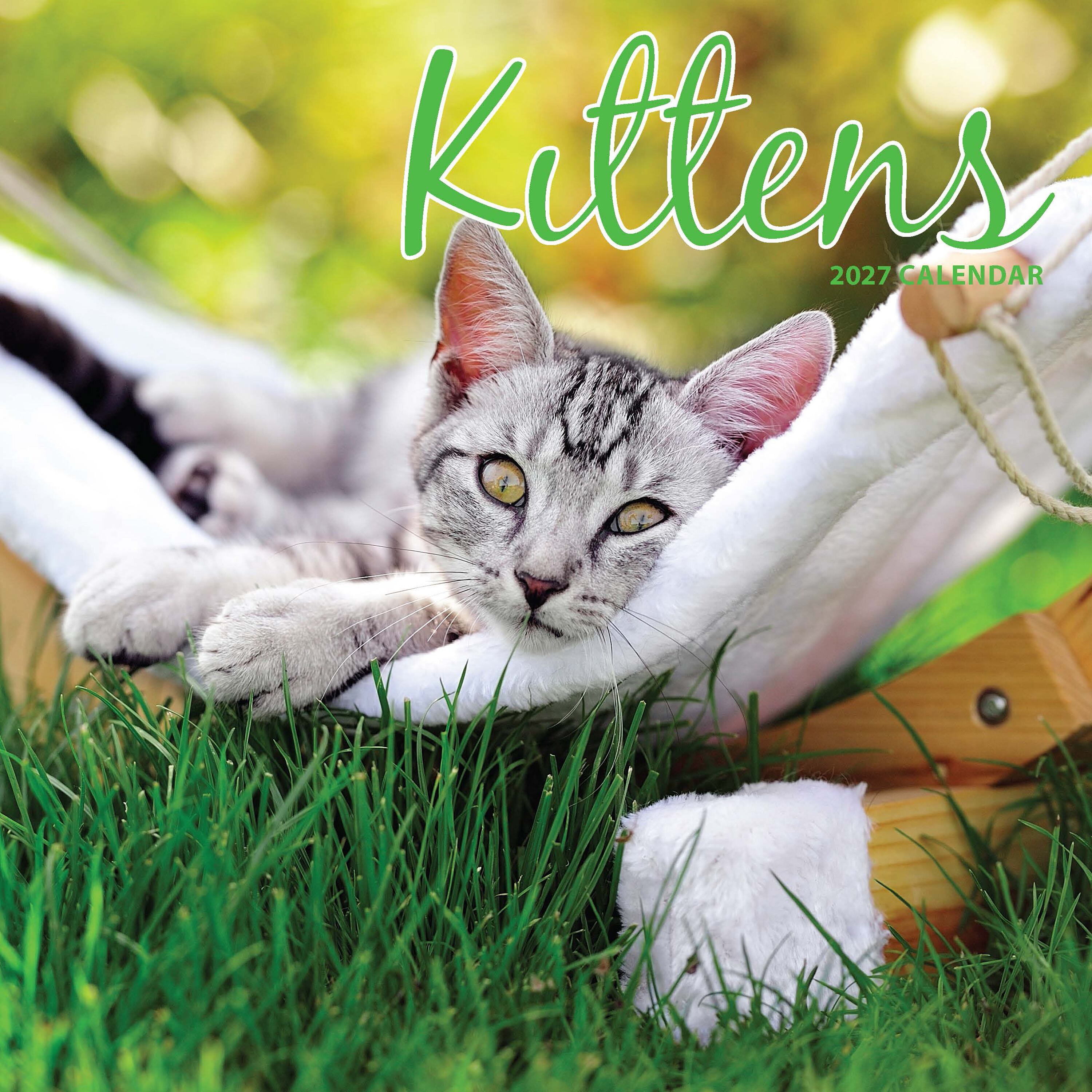 【2027年版】英国製カレンダー【Kittens】 2027年版