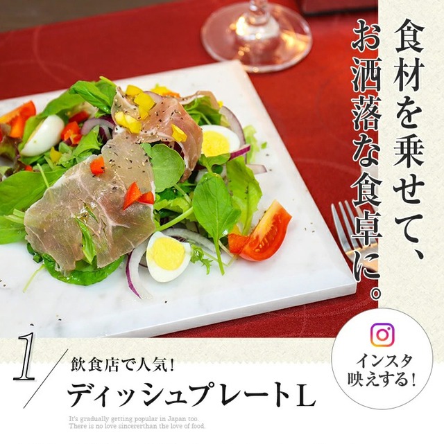 ディッシュプレートL  【1枚】