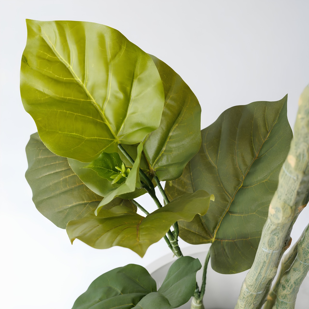 ウンベラータ 165㎝［人工観葉植物・フェイクグリーンT］