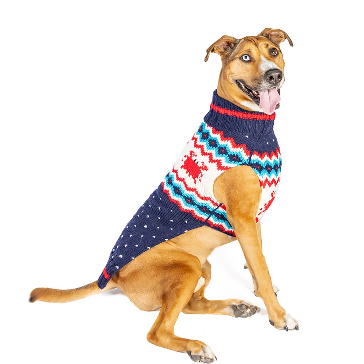 XSサイズ Chilly Dog Crabby Wool Dog Sweater チリードッグ クラビー