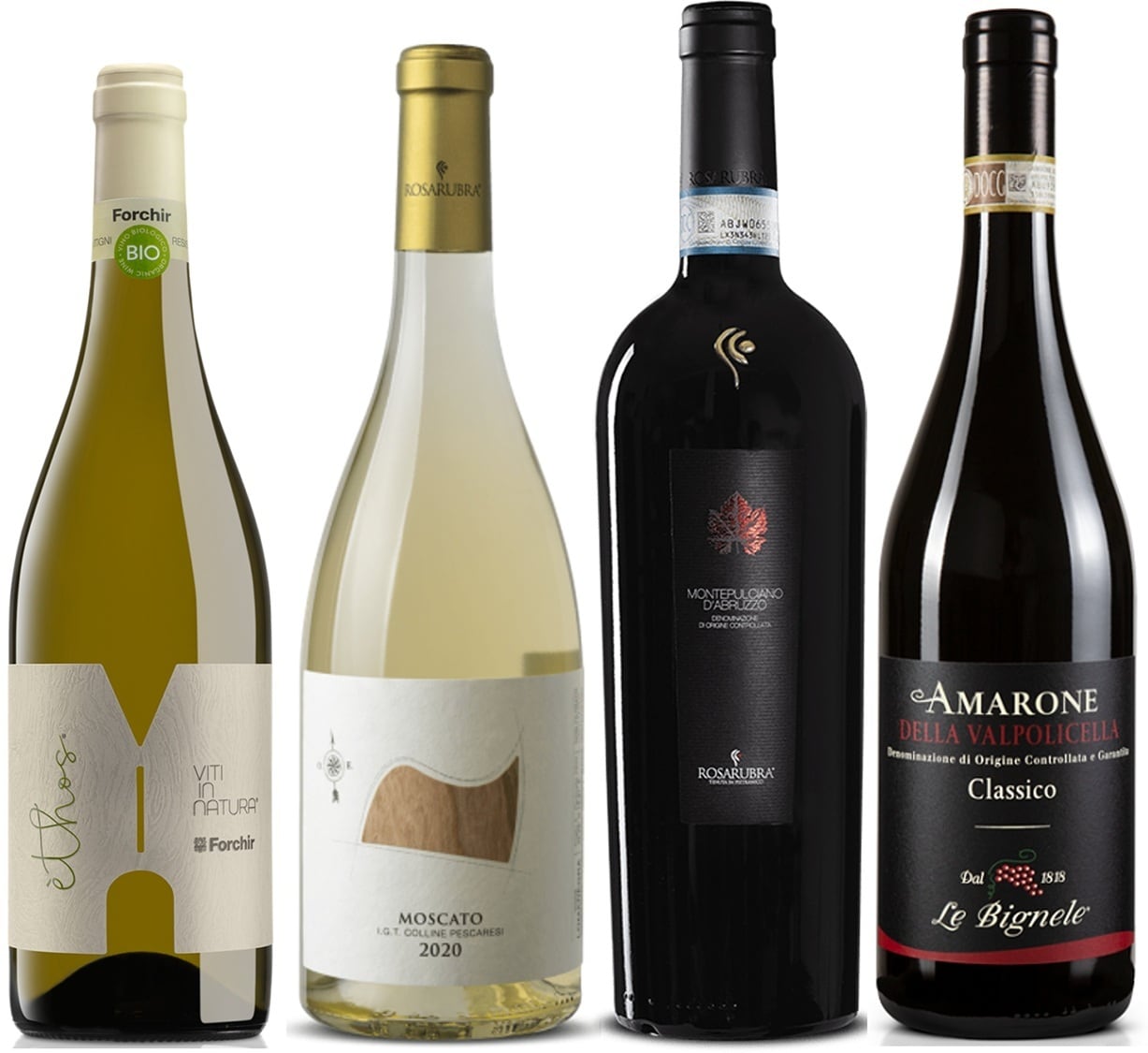 ★6) AGORA厳選ワインセット4( 白2/ 赤2 )