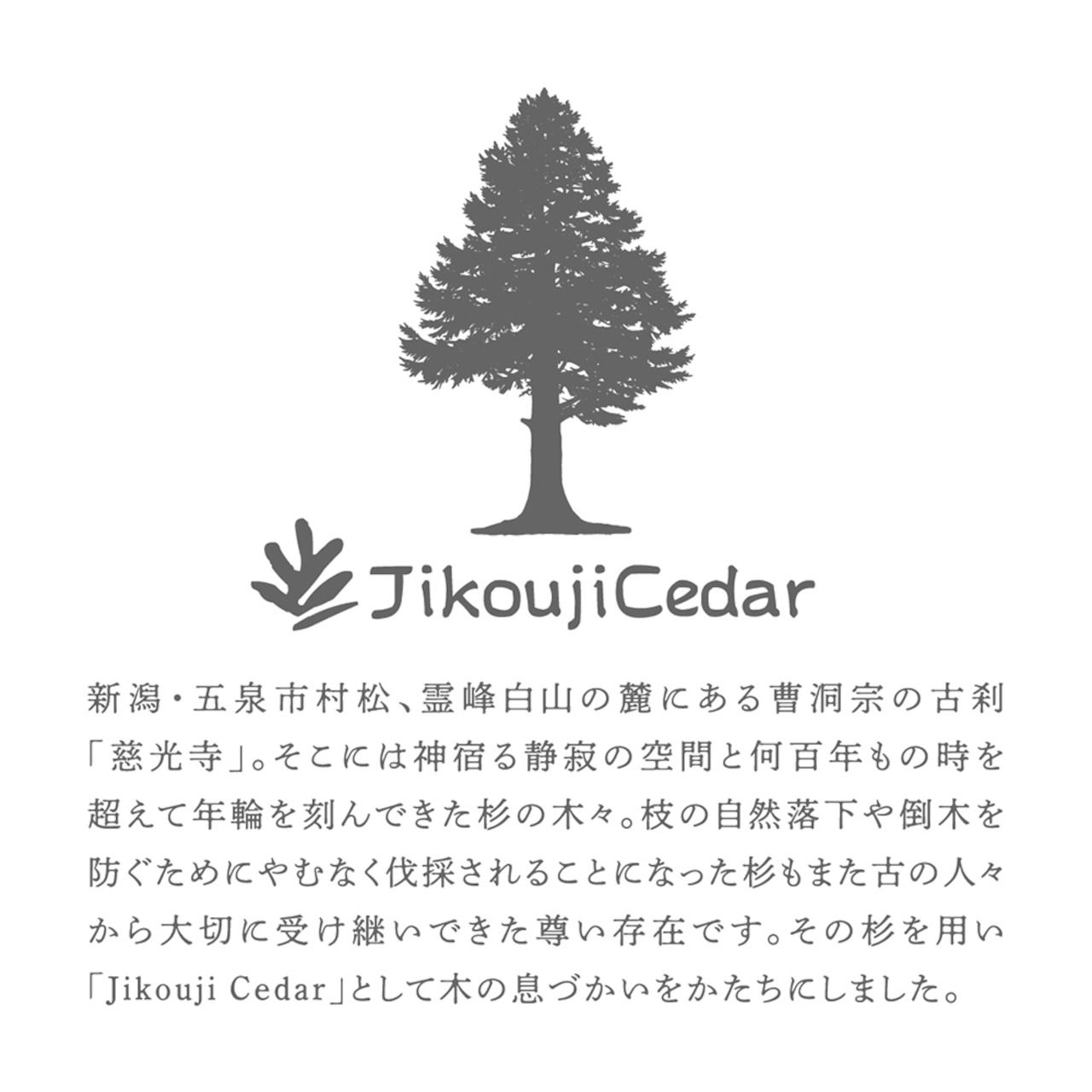 Jikouji Cedar ジコウジ シダー コースター 3枚セット (角2枚・丸1枚)・画像2
