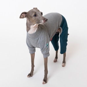 ５スリーブロンパース（5分丈） gray × green  / イタグレ服