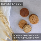【ハロウィン】エシカルプチギフト