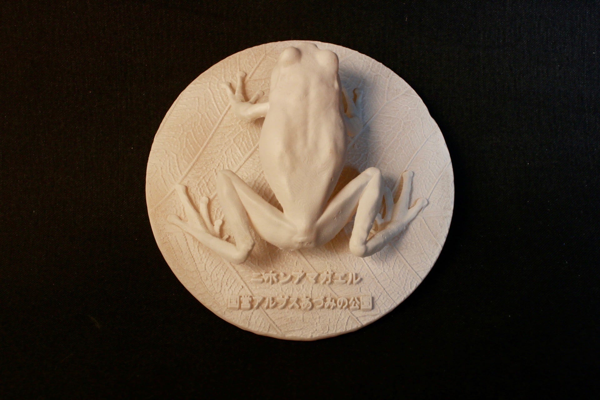 着色無し】ニホンアマガエル 原寸大レプリカ | アンフィ合同会社