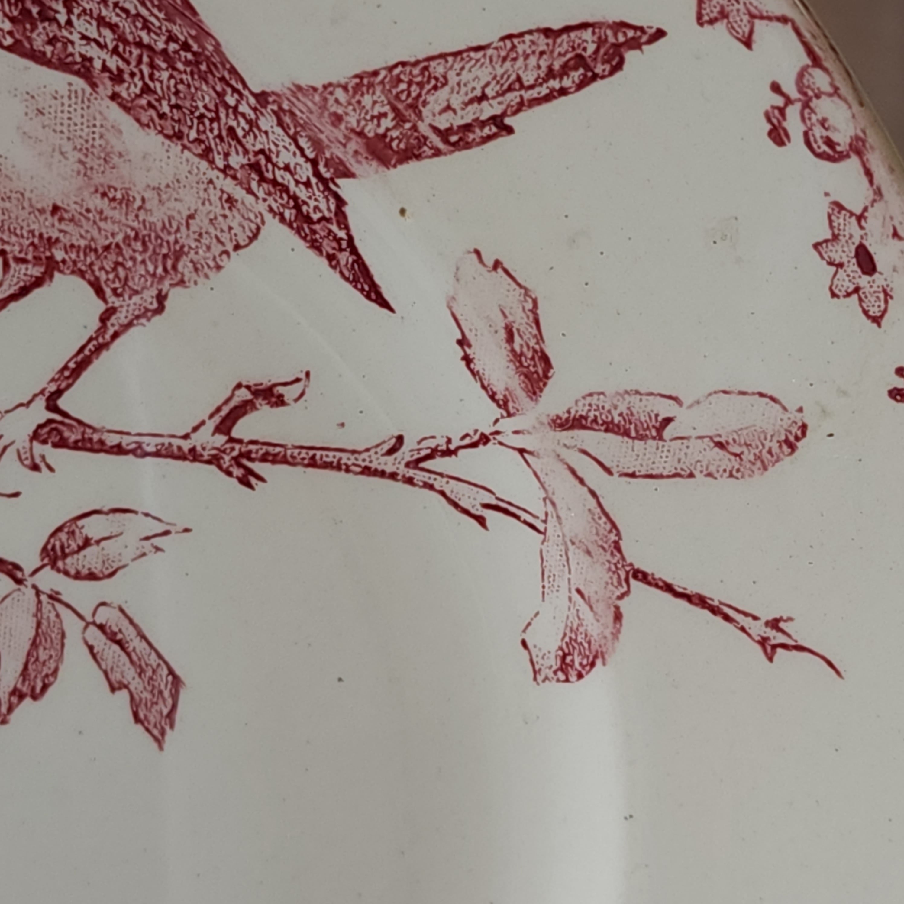 レア サルグミンヌ SARREGUEMINES FAVORI グリーン 1枚 レア サルグミンヌ SARREGUEMINES FAVORI グリーン 1枚 - メルカリ