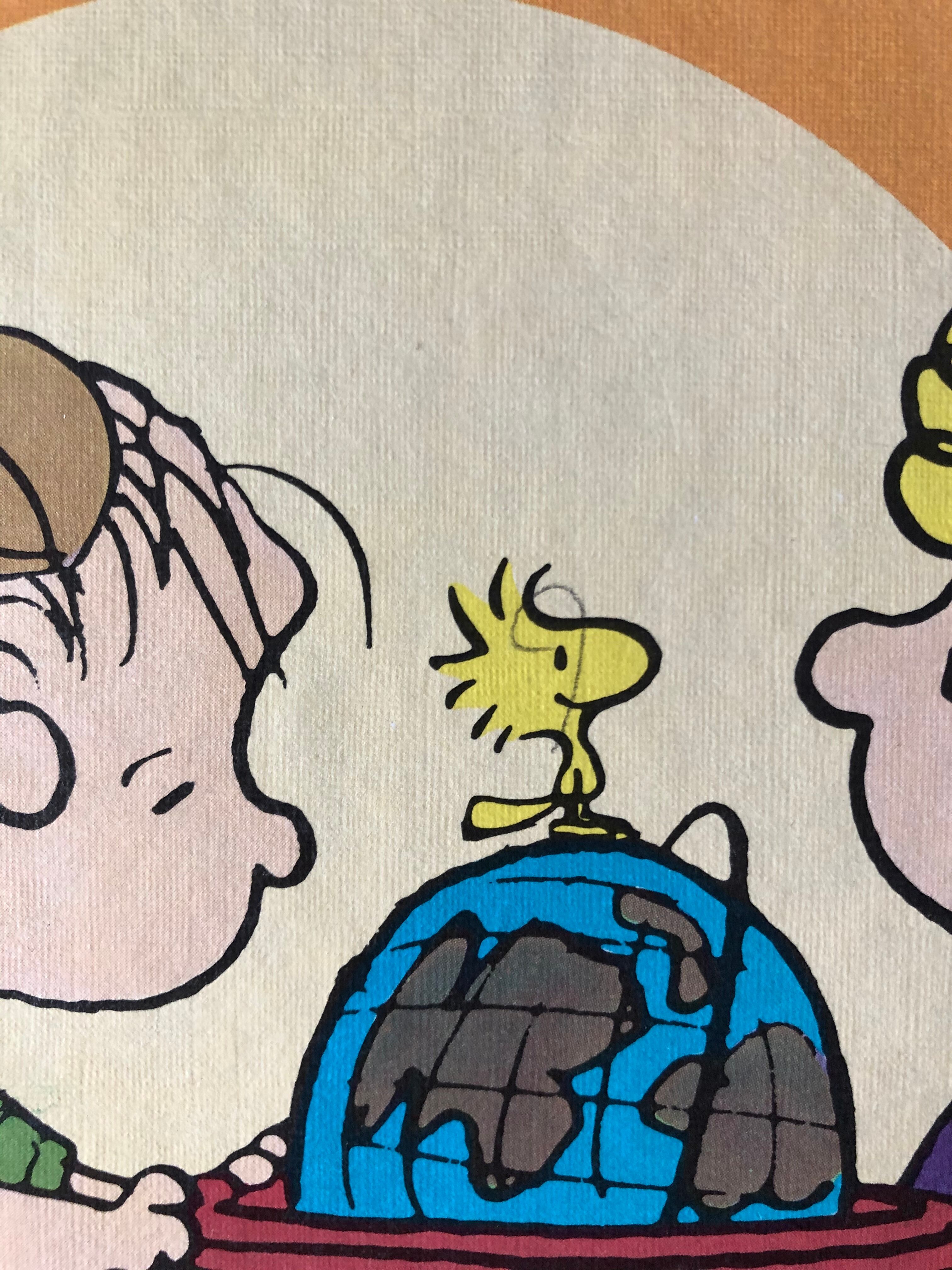 VINTAGE SNOOPY BOOK/チャーリーブラウン スヌーピー 百科事典 絵本