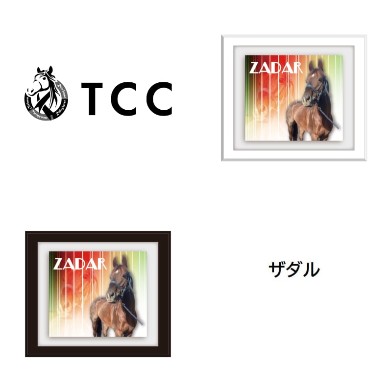 TCC x 馬Site TCCホース額縁マグネット サ行 | TCC ONLINE STORE