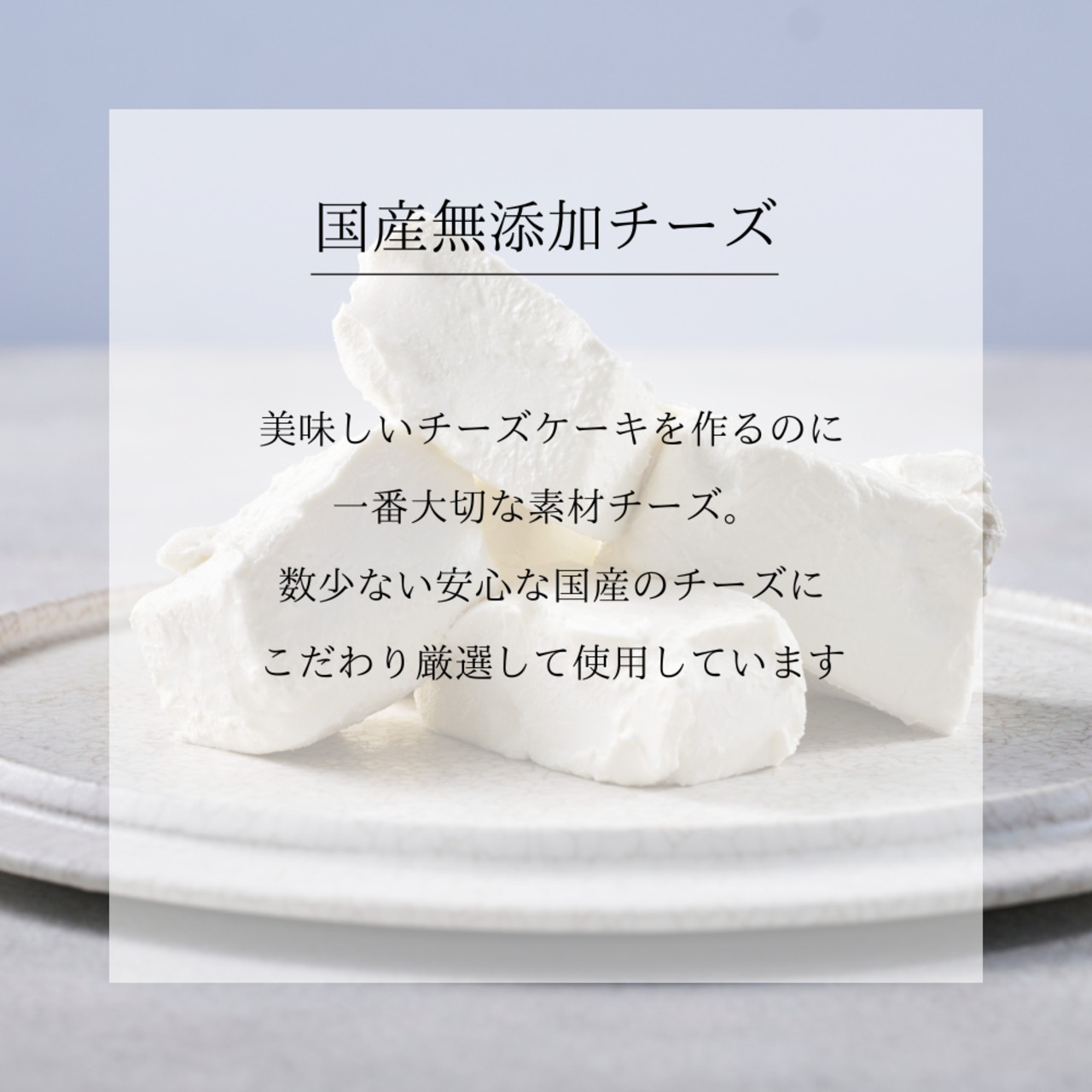 【送料半額お歳暮キャンペーン】国産有機小麦のサブレ24枚セット