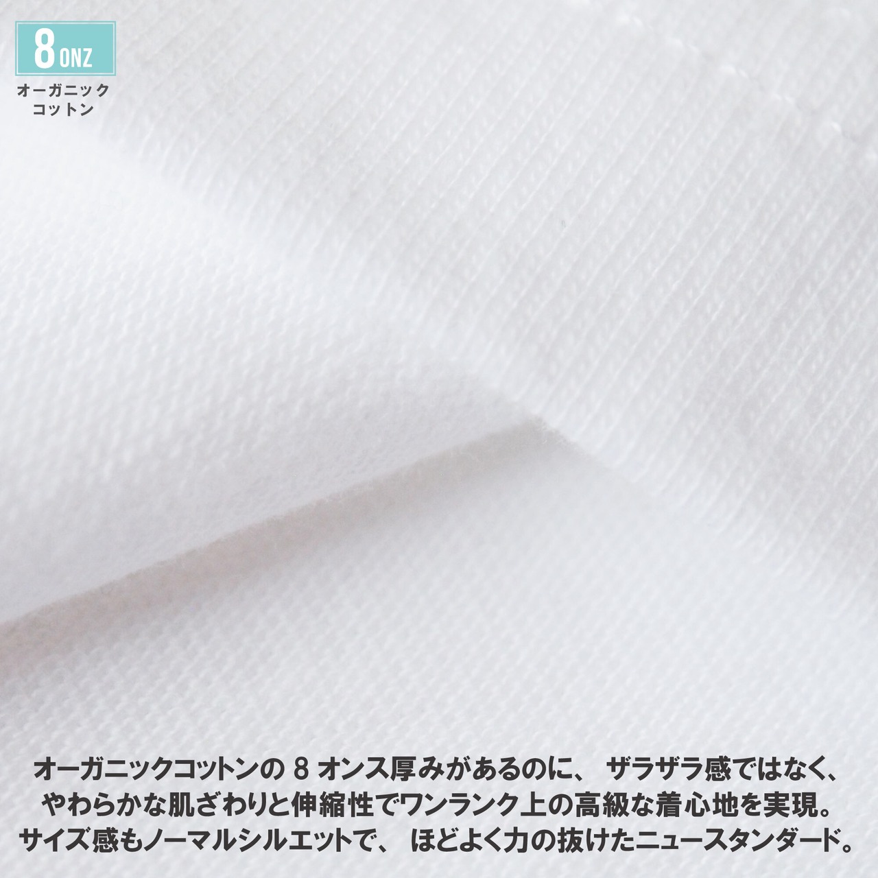 【DARGO】"SHARK vs BEAR" 8onz Organic Cotton T-shirt（2color）