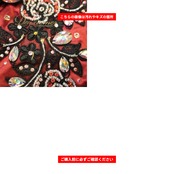 ベリーダンス 衣装 INCA belly ツーピース 上下セット セットアップ オリエンタル レッド系 ブラック系 シルバー系 ホワイト系 ピンク系 赤 ワインレッド 黒 ラインストーン ビーズ ラメ 装飾 練習 レッスン 舞台 発表会 イベント ダンス ステージ ダンス衣装 キラキラ 輝き 光沢 鮮やか おしゃれ 花柄 スリット