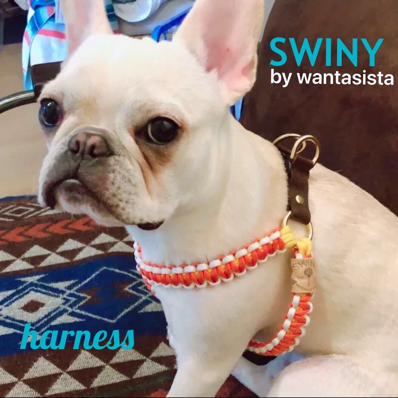 15734af3b837b29e5289d71f862632