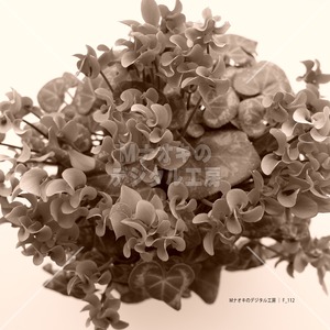 シクラメンの花 上から セピア調　Cyclamen flower Sepia tone from above