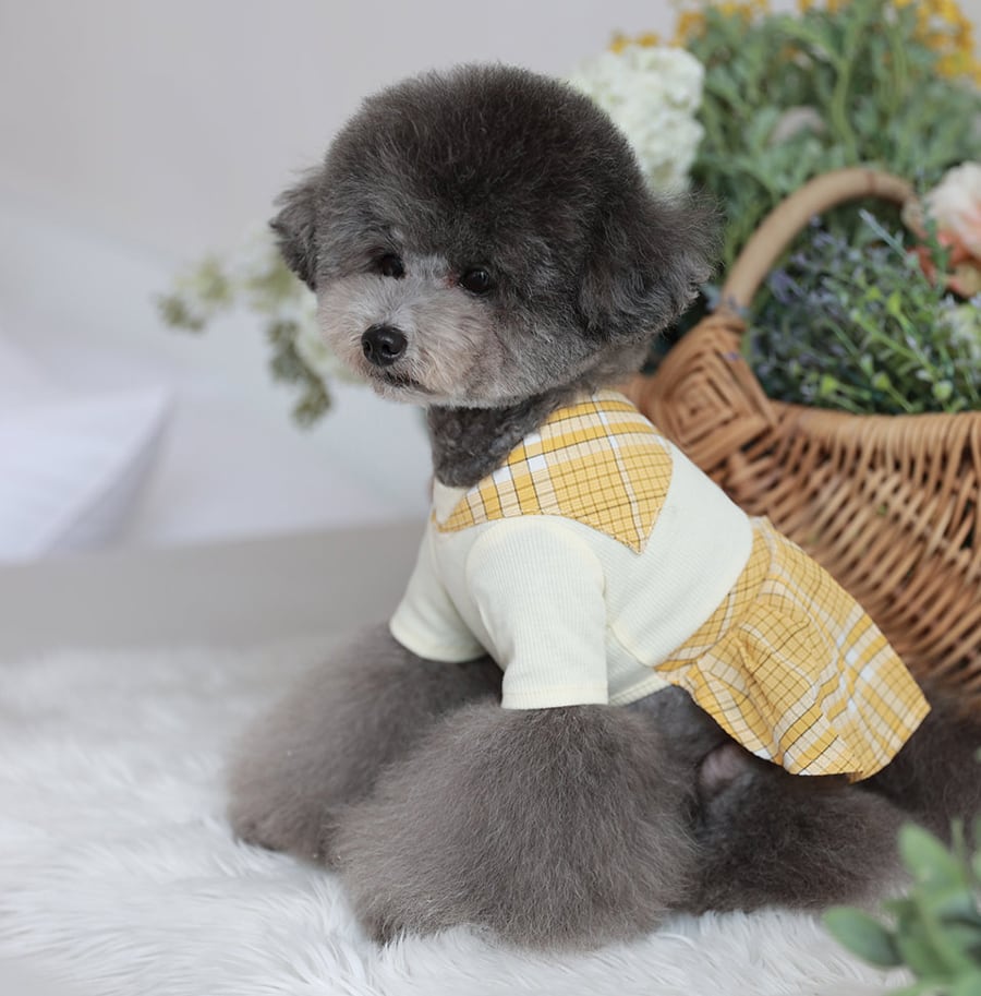 rora check sailor one-piece S ~ XL 3color / 犬服 春夏 ワンピース チェック柄 セーラー服 犬の服 お揃い 可愛い ドッグウェア お出かけ onepiece68