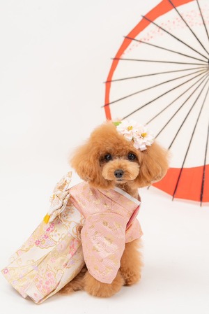 Classic Hakama – Pink & White
