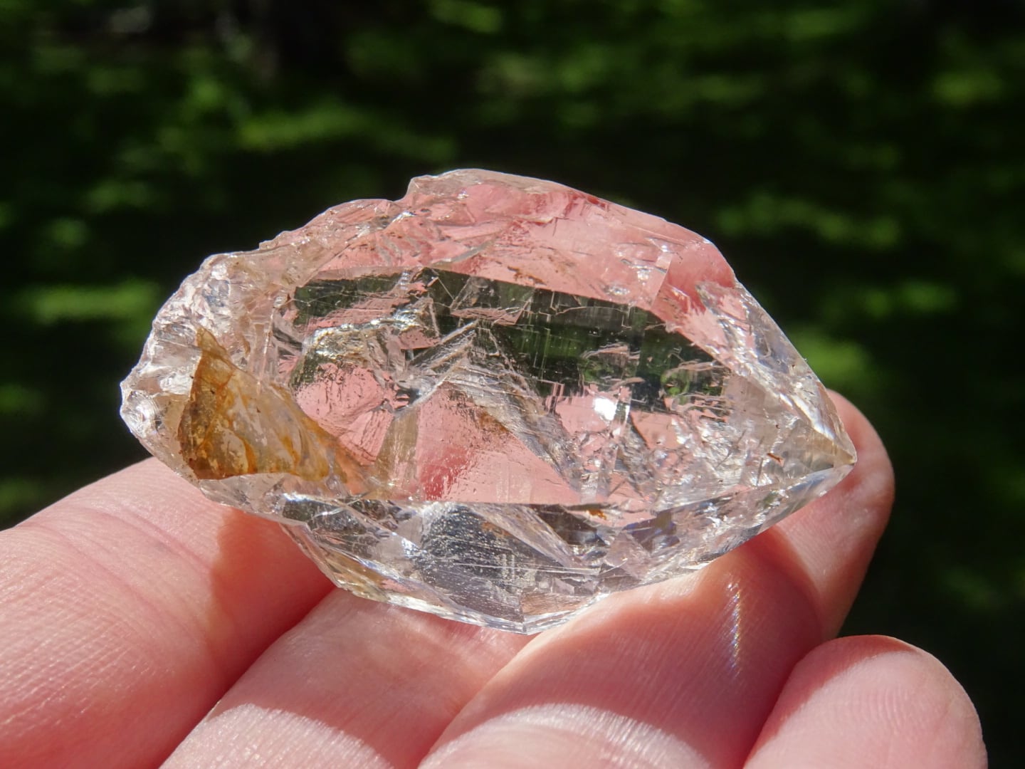 157a44c9a8282ef71c208ddacef962