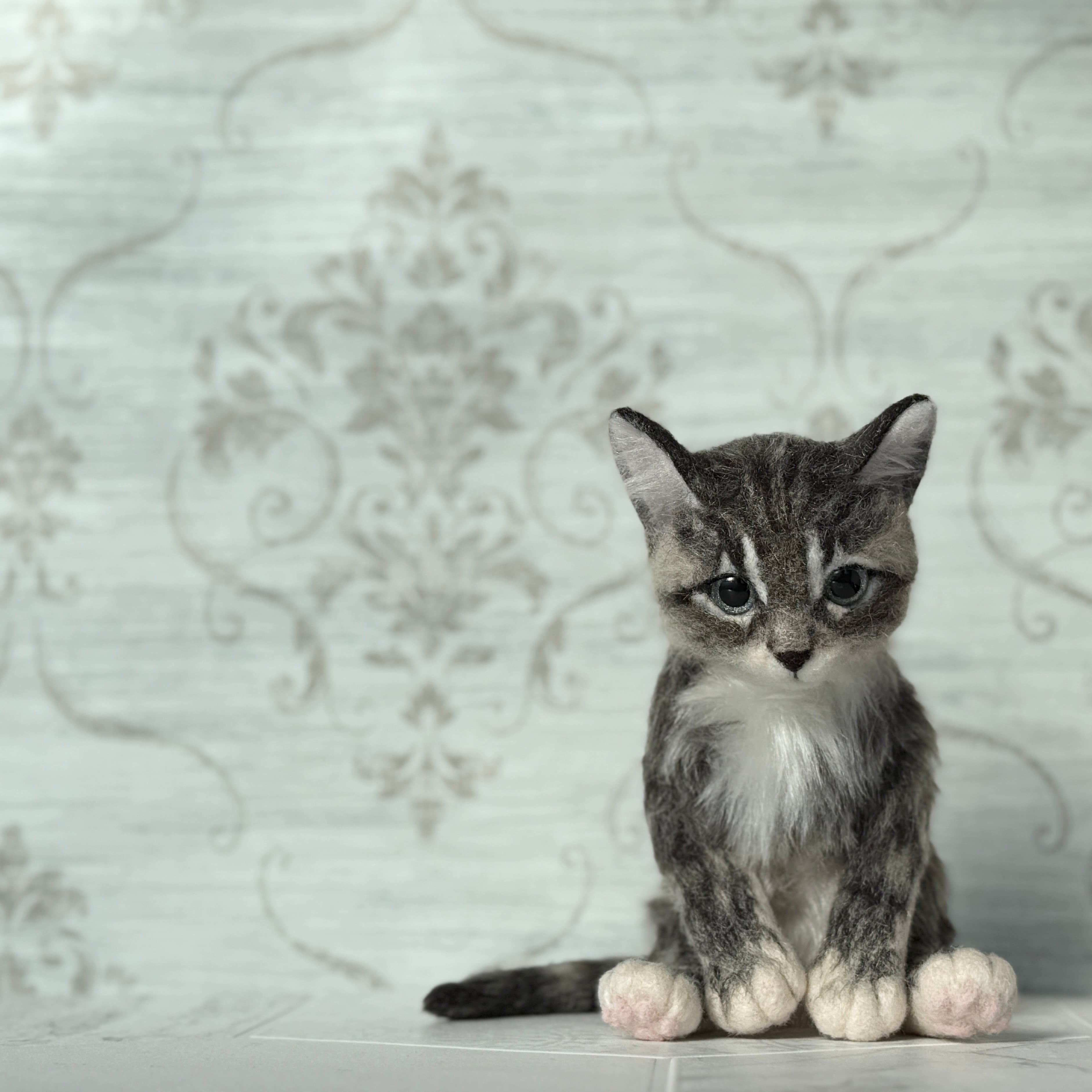 サバトラの仔ネコ 26F2SF 《にゃぴーし2026 猫の日キャンペーン商品