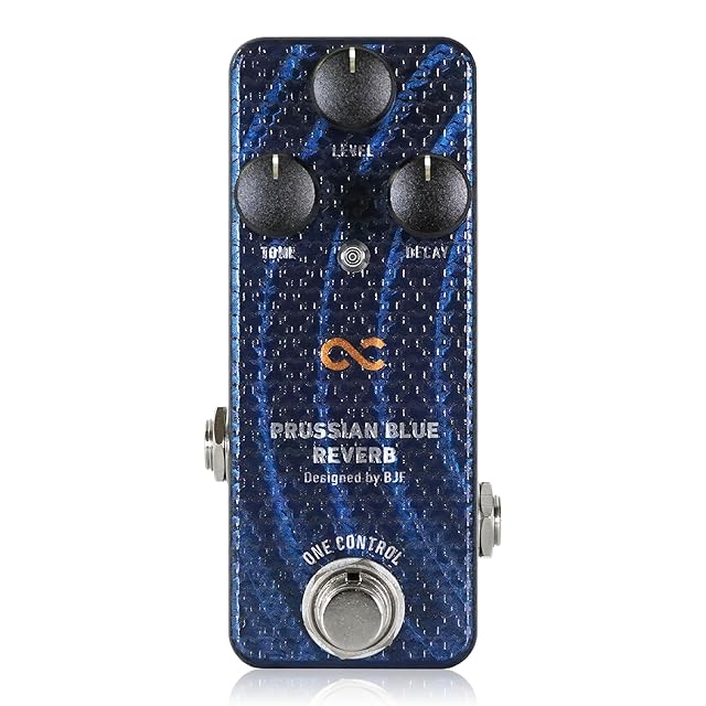 コントラバス、jazz . アコースティックピックアップ