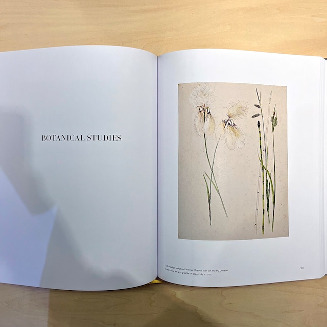 Hilma af Klint: Landscapes, Portraits and Miscellaneous Works 1886–1940