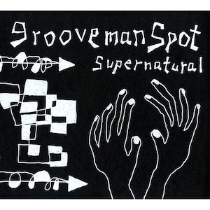 【CD】grooveman Spot - Supernatural