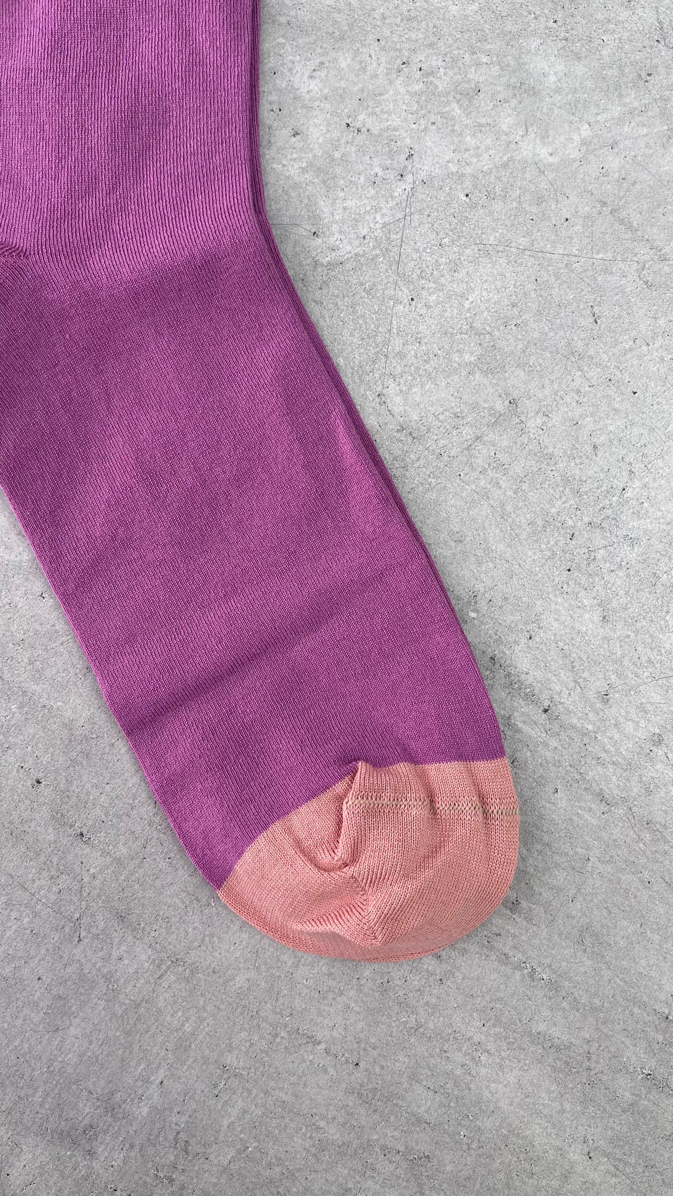 Bonne Maison /【Herbier】UN2-29