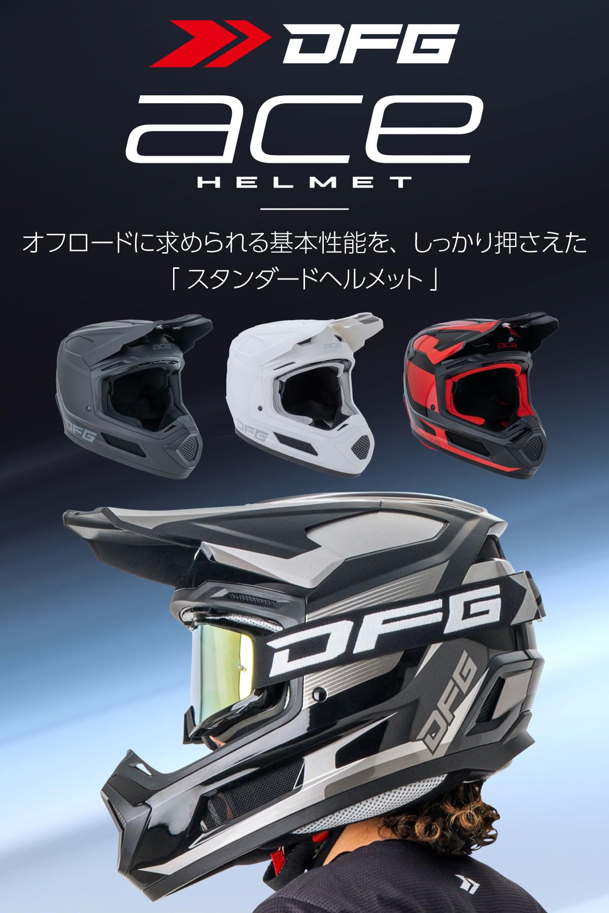 ダートフリーク(Dirtfreak) DFG エースヘルメット マットブラック XL