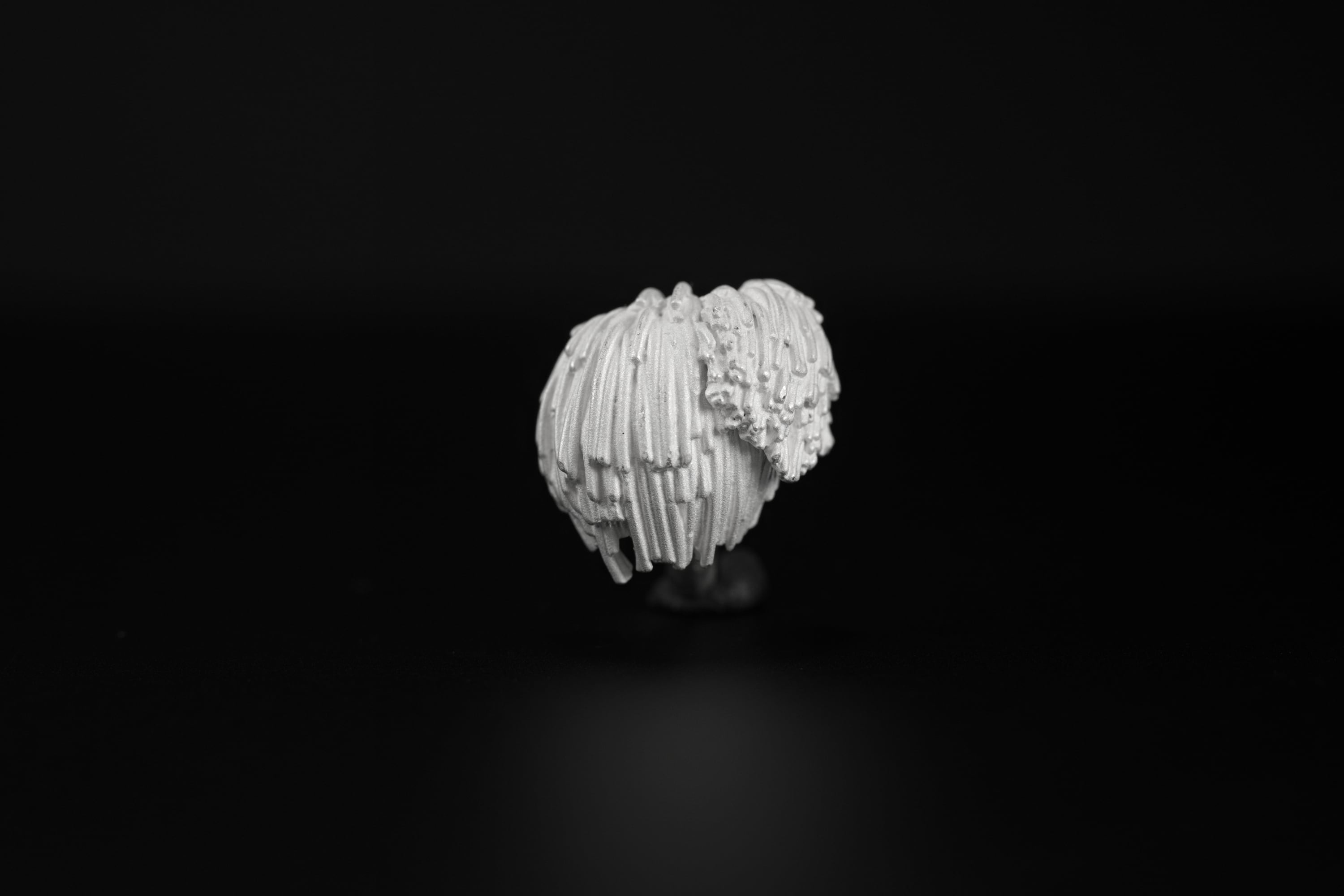 ヤマブシタケ イヤーカフ | GARAGE