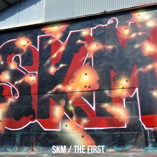 Skm / The First (CD)