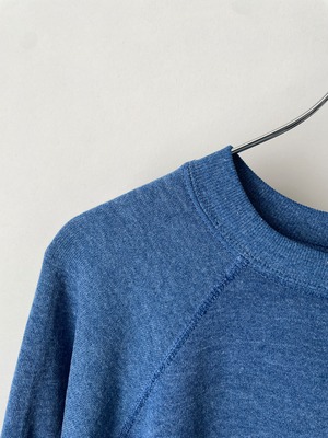 Mother duck and her ducklings sweat shirt