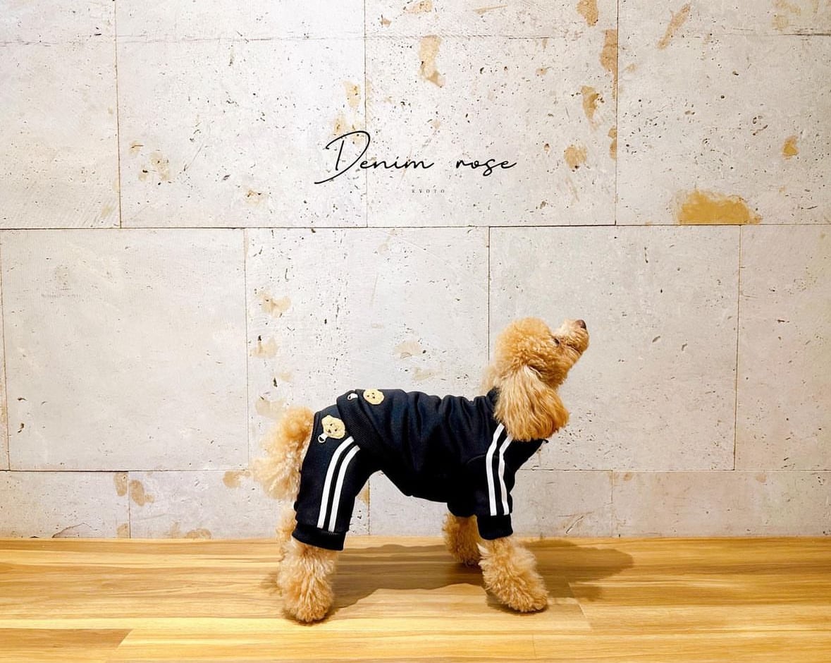 ワッペンジャージパンツ | DENIM ROSE