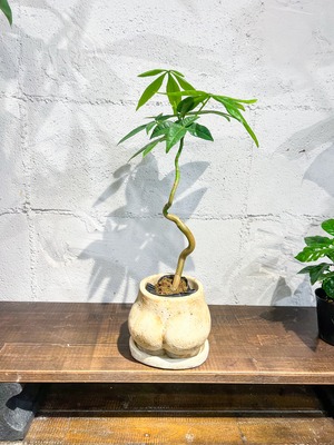 ヒップ型の植木鉢　3号