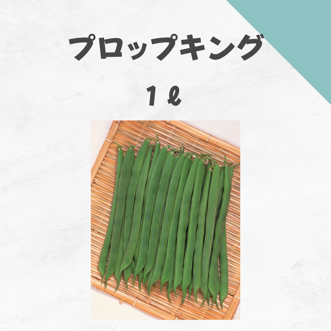 プロップキング インゲン種子・1L