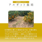 完熟アルギットみかん 約3kg（極早生）