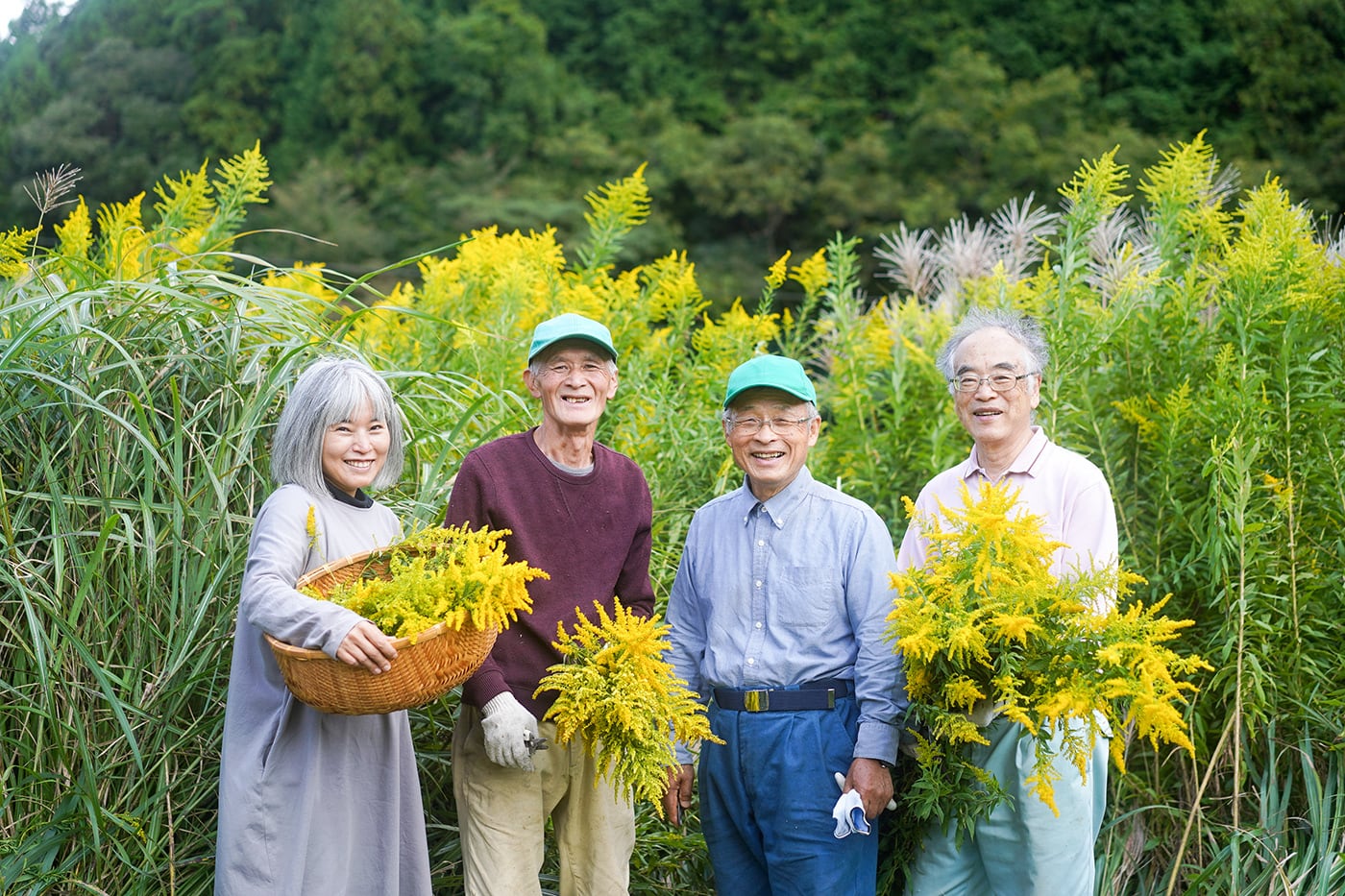 SANBE Botanicals〈セイタカアワダチソウ〉ファブリックウォーター