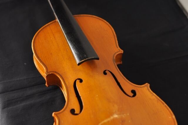 violin