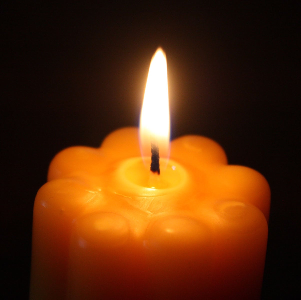 AM-1 アネモネ 蜜蝋キャンドル