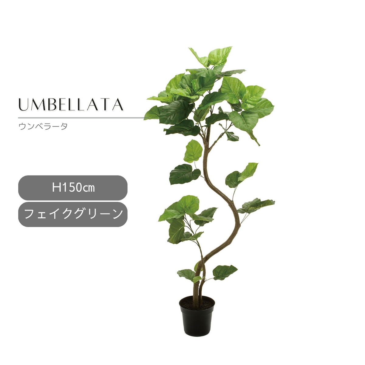 15a4a6e56087f9966d2652c9af5adc