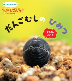 ワンダーしぜんランド（＠510円×12か月） | 2026希望購読絵本お申込サイト