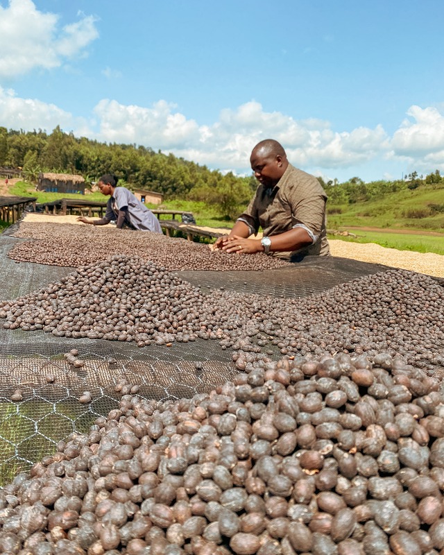 Rwanda Bugoyi natural 100g Dark roast