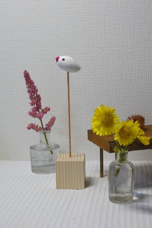 ピヨテス　文鳥（大）Piyotes Java sparrow(Large）