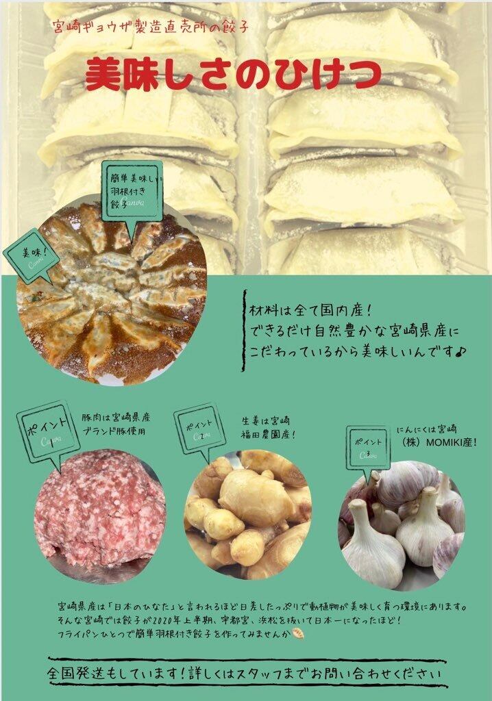 水餃子・茹で餃子専用（6パック）27gX10個入り | 宮崎ギヨウザ製造直売所