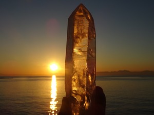 オールドレムリアンシード（オリジナル）