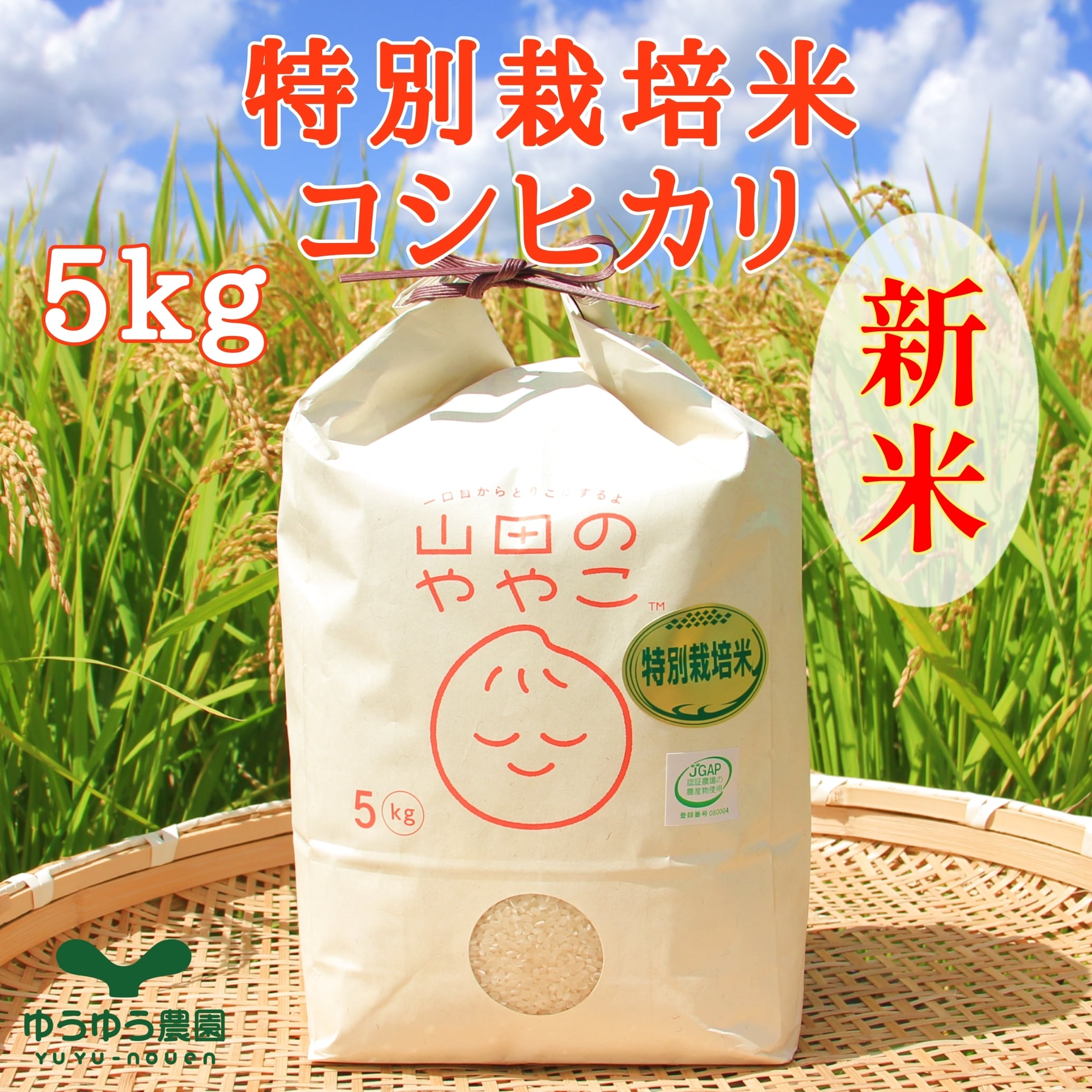 新米 山田のややこ【コシヒカリ5kg】特別栽培米 | ゆうゆう農園