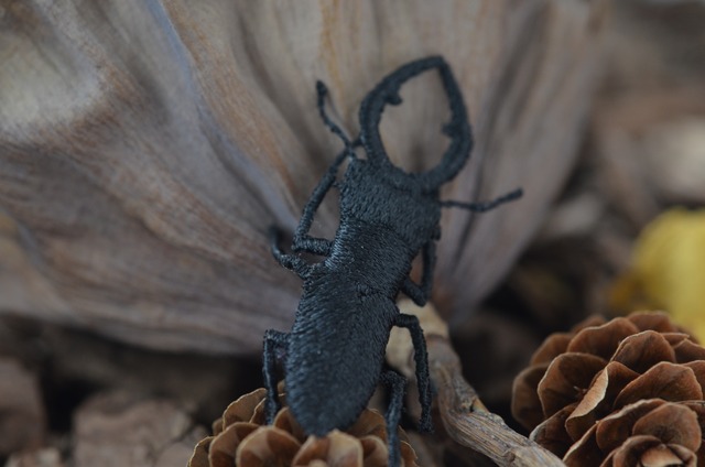 ノコギリクワガタ　  ネクタイピン