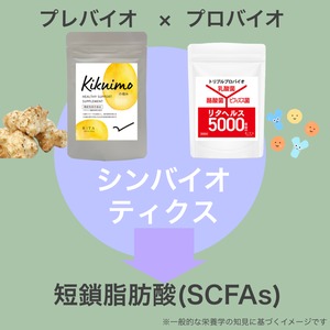 アウトレット 菊芋の極み〈家計応援価格〉1袋