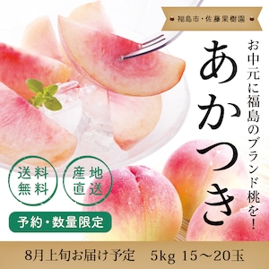 【数量限定】 桃 あかつき 国産 送料無料 予約品 約５kg（15〜20玉） 7月下旬 から 8月下旬 お届け