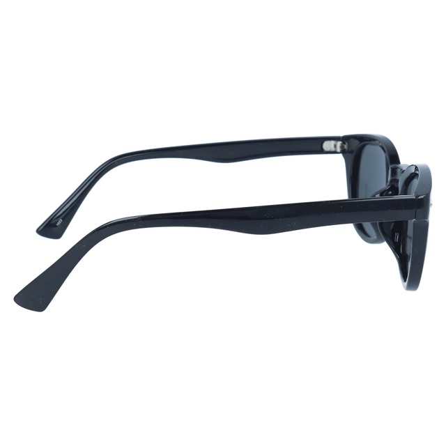 BNS 605 Antifog Sunglasses